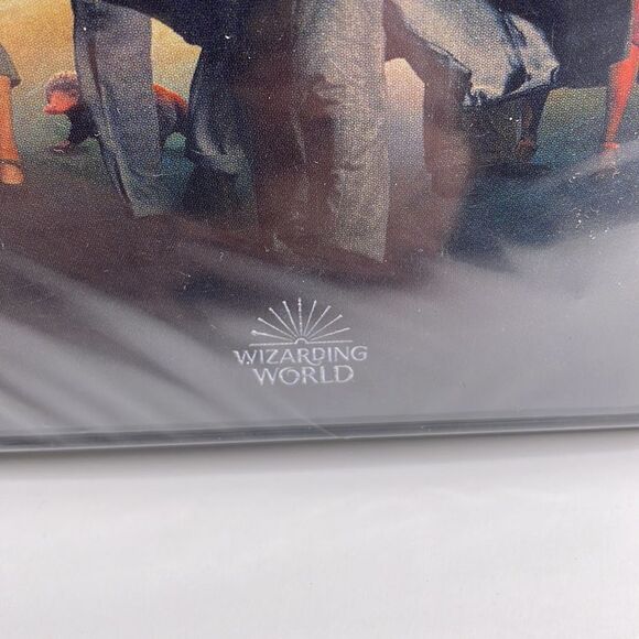 Fantastic Beasts The Secrets of Dumbledore DVD Movie (New) - Picture 3 of 11